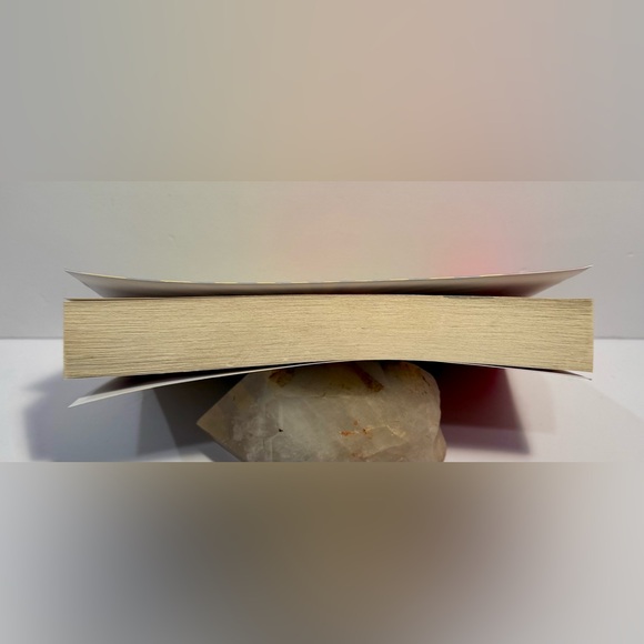 Boomsday Softcover Novel by Christopher Buckley - Picture 5 of 7